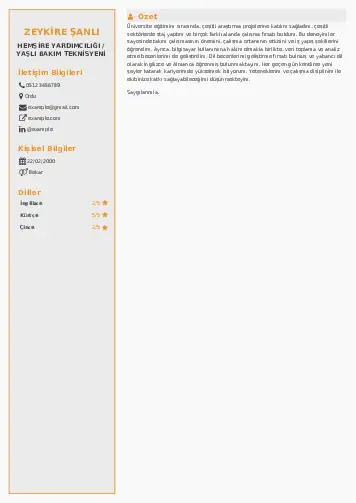 Hasta ve Yaşlı Bakım Elemanı Cv Örnekleri cv indir